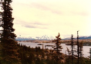 Yukon - halfway to Whitehorse