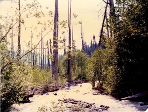 Washington State,Rainier Natonl Park -Hiking 1987